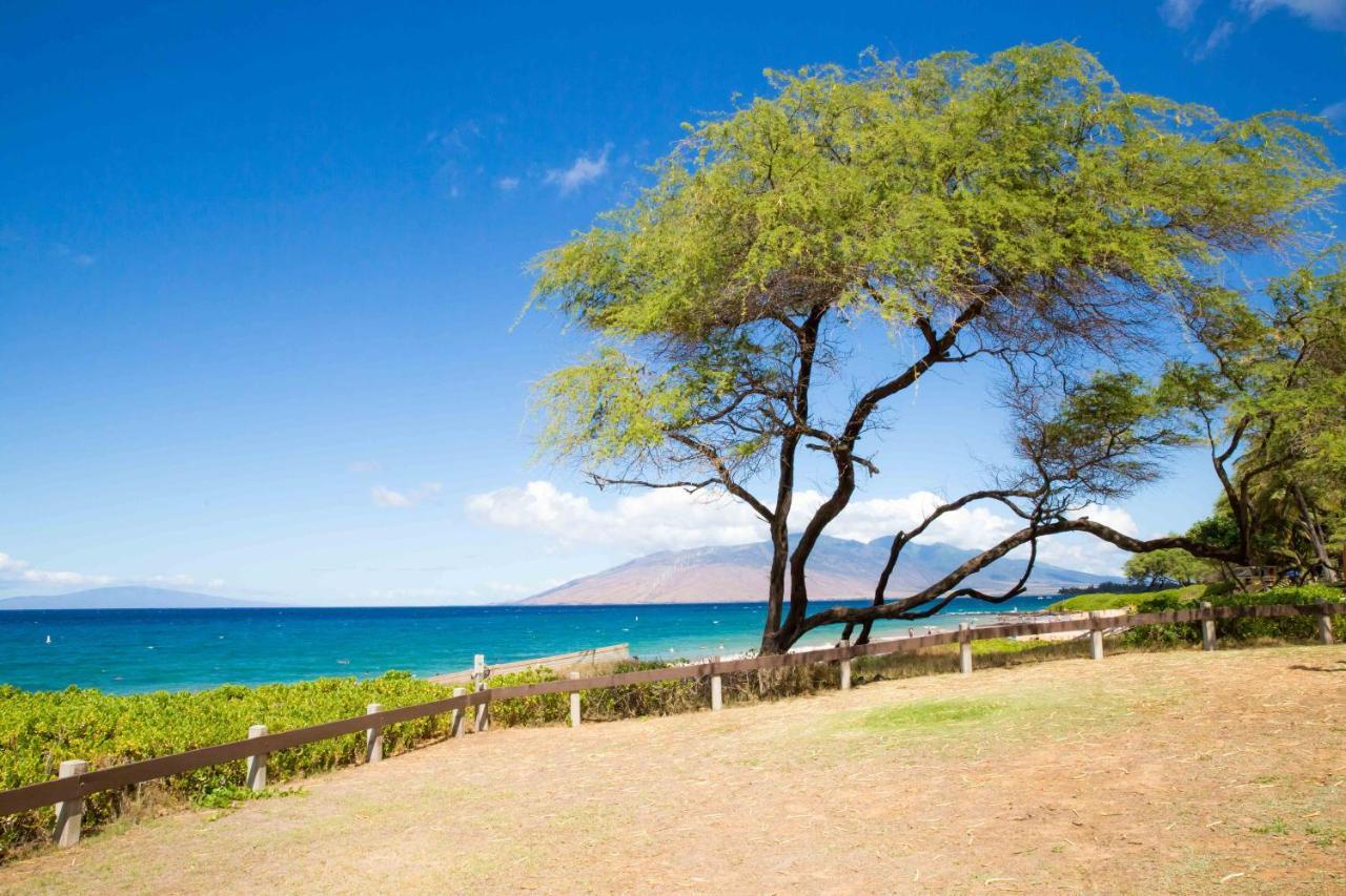 Hale Kamaole 142 Villa Wailea  Exterior photo